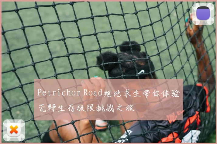 Petrichor Road绝地求生带你体验荒野生存极限挑战之旅