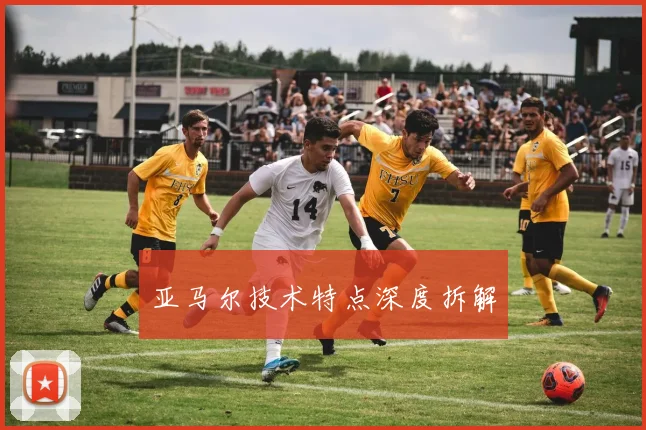 亚马尔技术特点深度拆解