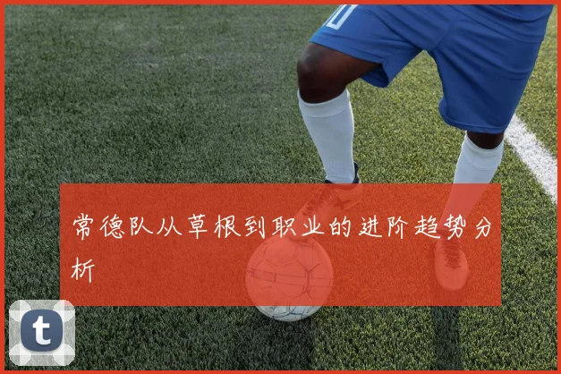 常德队从草根到职业的进阶趋势分析