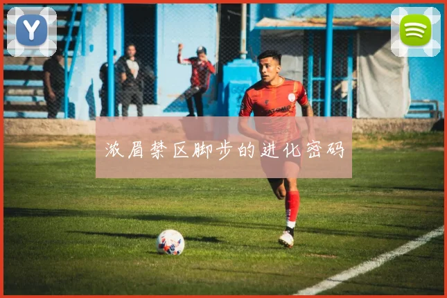 浓眉禁区脚步的进化密码