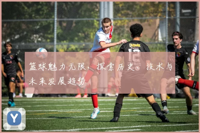 篮球魅力无限，探索历史、技术与未来发展趋势