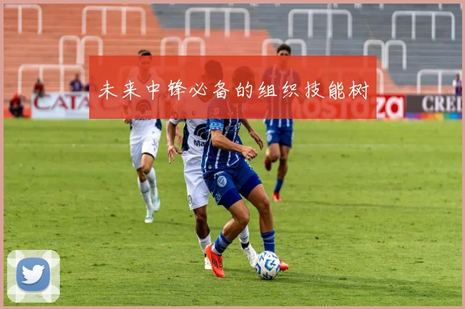 未来中锋必备的组织技能树