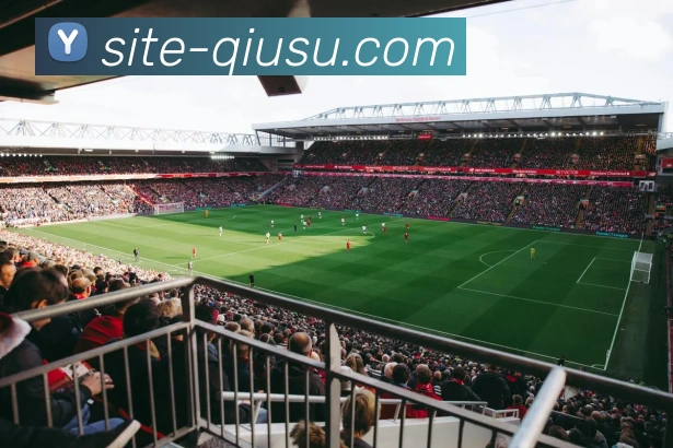 球速平台生态图